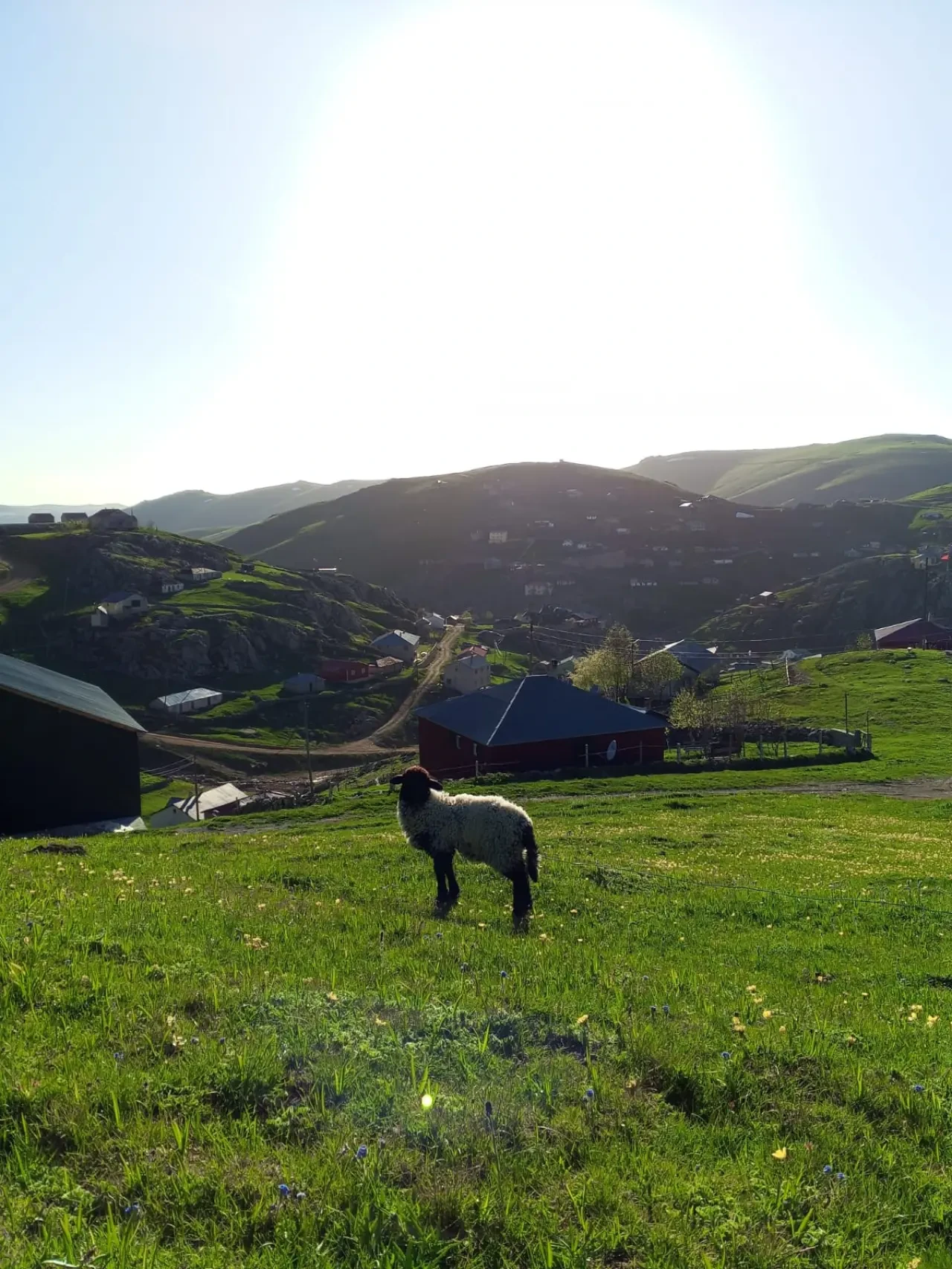 Karadeniz Doğa Manzaralarıyla Kısa Bir Mola! 6