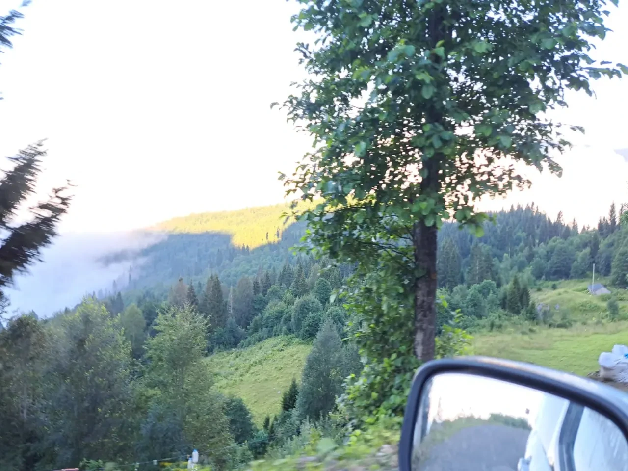 Karadeniz Doğa Manzaralarıyla Kısa Bir Mola! 2