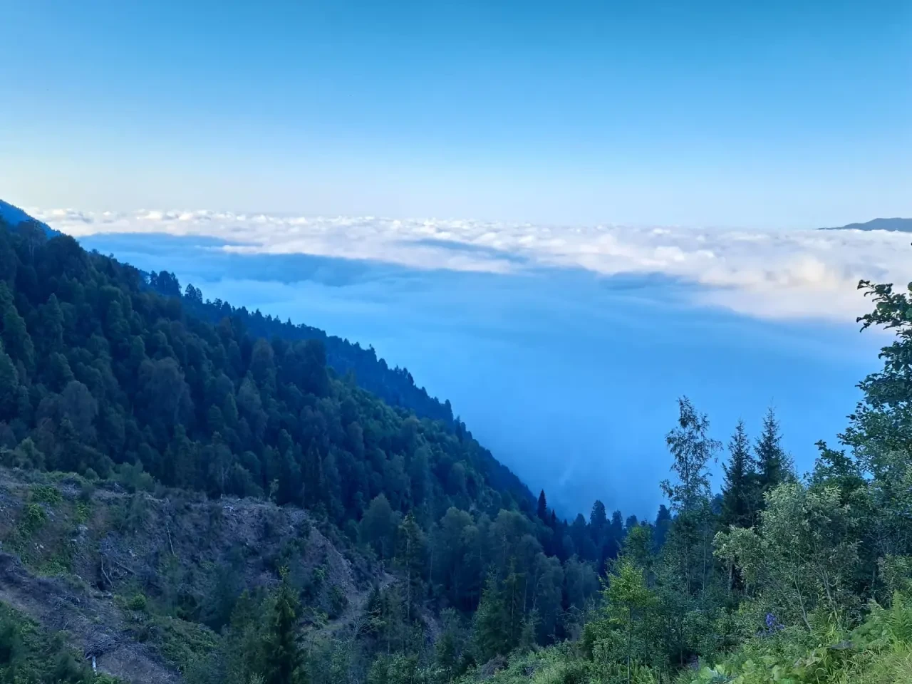 Karadeniz Doğa Manzaralarıyla Kısa Bir Mola! 3