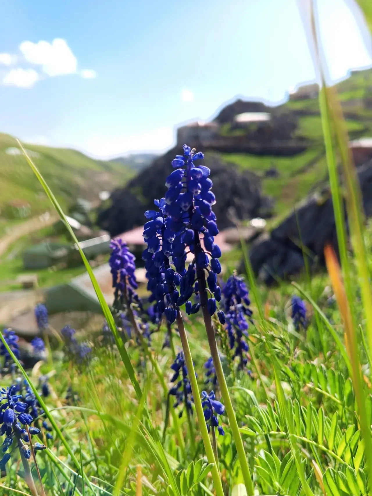 Karadeniz Doğa Manzaralarıyla Kısa Bir Mola! 4