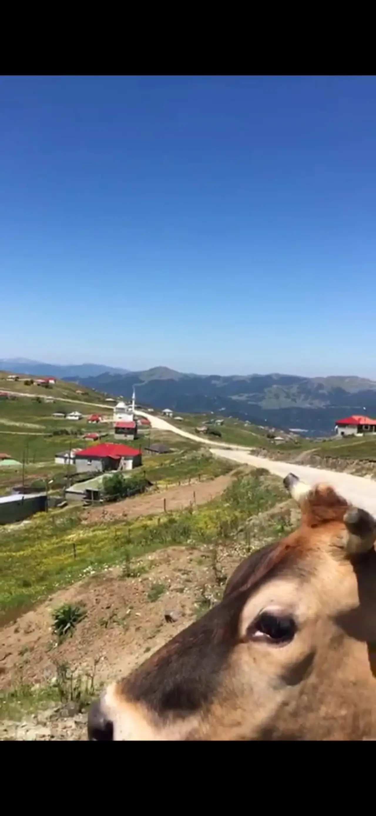 Karadeniz Doğa Manzaralarıyla Kısa Bir Mola! 11