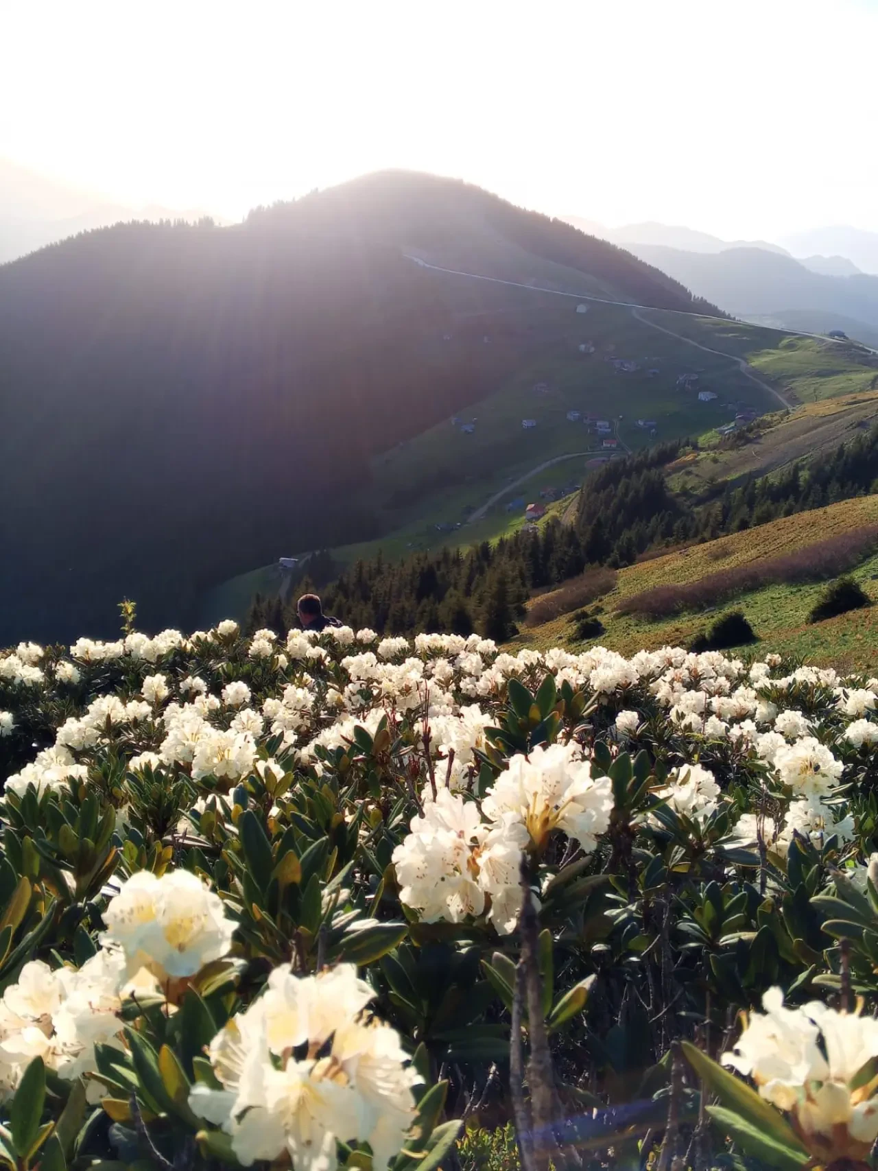 Karadeniz Doğa Manzaralarıyla Kısa Bir Mola! 7