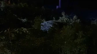 Samsun Çarşamba’da Trafik Kazası: Otomobil Yeşillik Alana Uçtu, 3 Yaralı