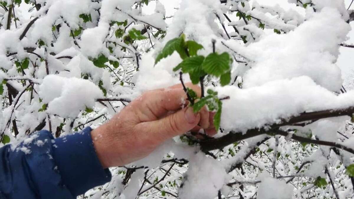 kar-yagisi-ve-soguk-hava-etkisi